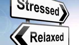 Stress! There’s a lot of it about…